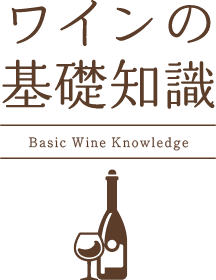 ���C���̊�b�m��